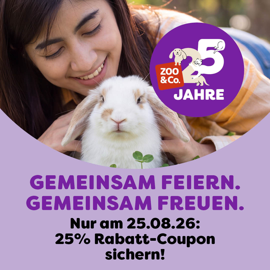 Entdecke die Rabattaktion!