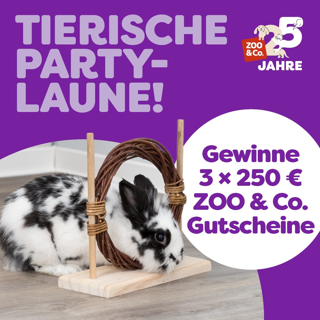 Entdecke die Aktion!