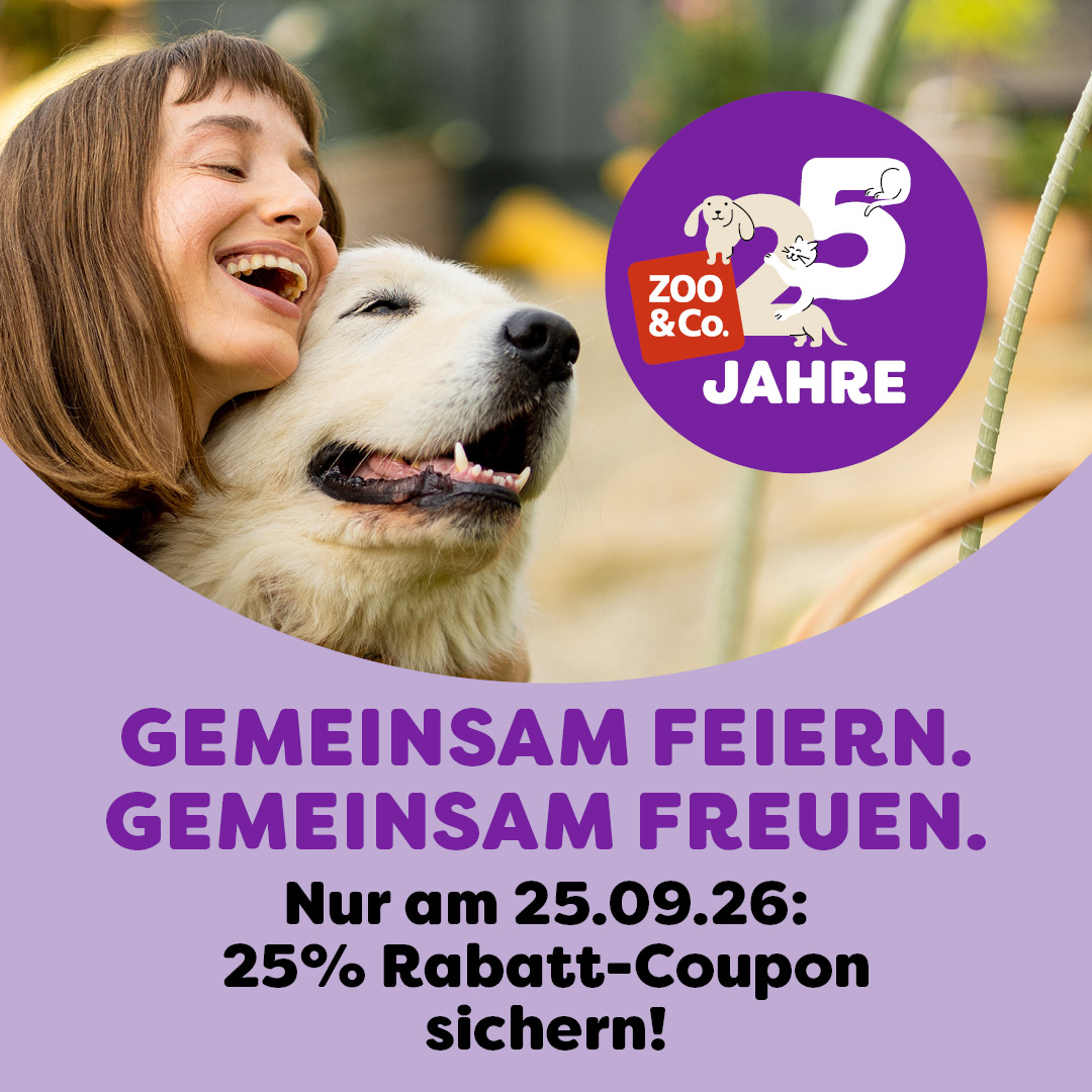 Entdecke die Rabattaktion!